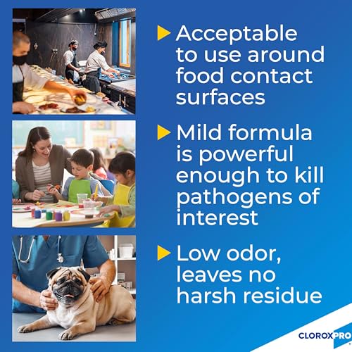 CloroxPro Anywhere Daily Disinfectant Food Sanitizer Refill, 128 fl. oz. | No-Rinse Contact Sanitizer, Food-Safe, Kills 99.9 Percent of Germs, Restaurant-Grade, Kitchen Sanitizing Spray, Refill