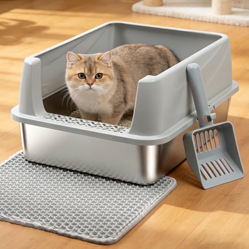 Stainless Steel Litter Box for Kitten,Metal Litter Box with Lid S - color: S-M-lid-10"H