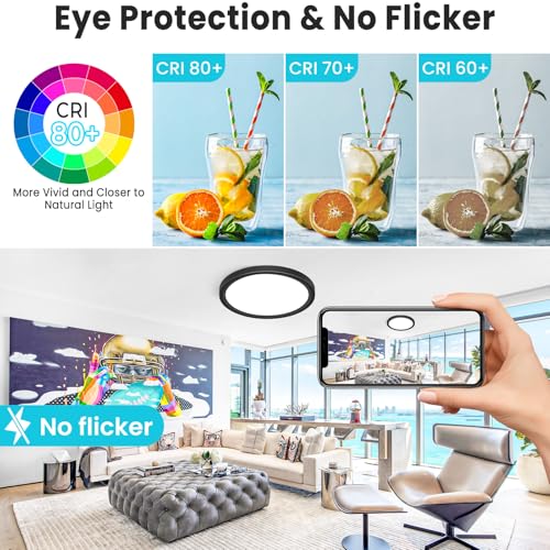 libtit 12 inch Flush Mount LED Ceiling Light Fixture, 3000K 4000K 6500K Adjustable, 28W 3200lm Black Round Lighting Fixtures for Bathroom Shower Hallway Kitchen, 2 Pack - color: Black, size: 12in-2Pack