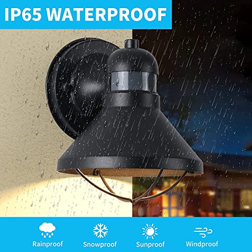 LONEDRUID 2 Pack Dusk to Dawn Motion Sensor Outdoor LED Wall Light Fixture - color: Black