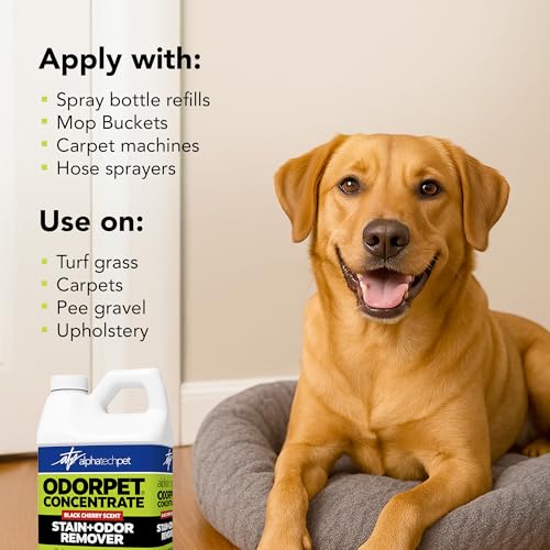 ATP OdorPet Concentrated Stain and Odor Remover, Black Cherry, 64 Fl Oz