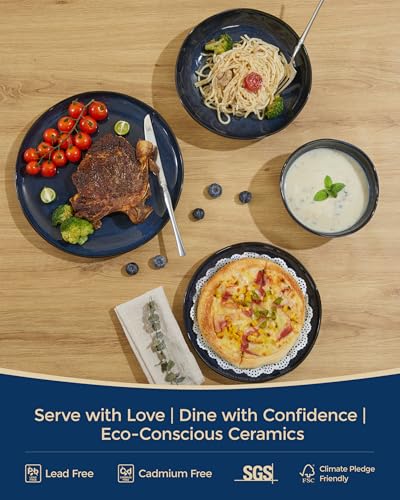 Pokini Stoneware Dinnerware Sets for 4, 16Pcs Ceramic Plates and Bowls Sets - color: Starry Blue, size: Set (16pcs)