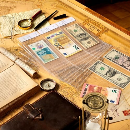 20 Sheets Currency Sleeves 60 Pockets with Labels for 3-Ring Binder - size: 20 Sheets/60 Pockets