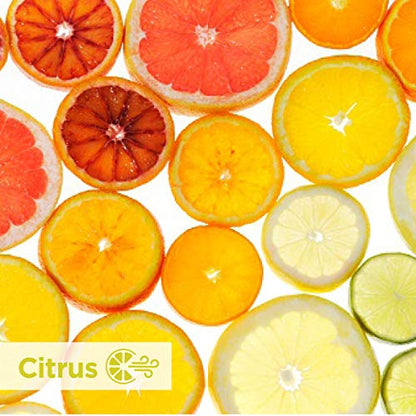ActiveAire Deodorizer Urinal Screen by GP PRO (Georgia-Pacific), Citrus, 48275, 12 Screens Per Case Regular - style: Citrus - 12 Screens