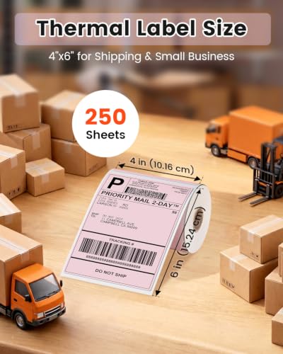 Phomemo Pink 4x6 Thermal Label, Shipping Labels Pack of 250 4x6 Roll Labels, Compatible with Phomemo, Zebra, Rollo, Jadens and Other Thermal Printers - color: Pink-250