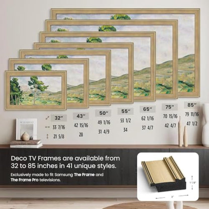 Champagne 50" Deco TV Frame for Samsung The Frame/Pro TVs - size: 50"