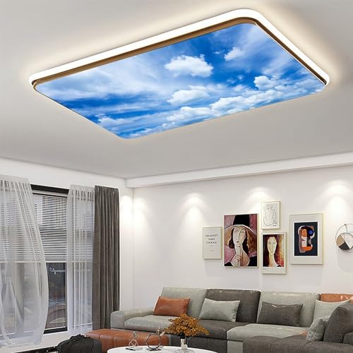 2Pcs Fluorescent Light Covers, Beautiful Clouds Magnetic Light Shield for Classroom Office Home, 2 x 4 ft - color: Color-14