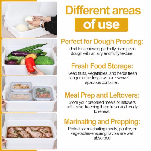 3 Pack Pizza Dough Proofing Box, Pizza Storage Container, 13L