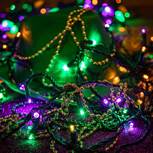 Novelty Lights 50ft 100 LED Yellow, Purple & Green Mardi Gras Lights - color: Yellow/Purple/Green