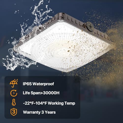 LED Canopy Lights 100W: 100/80/60W Selectable with Motion Sensor - size: 100WMotion Senosr-1P