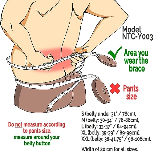 NeoTech Care Back Brace for Work with Removable Pants Clips & Detachable Suspenders - Back Support Belt - Adjustable, Light, Breathable - Posture (Gray, Size XXL) - color: Grey, size: XXL