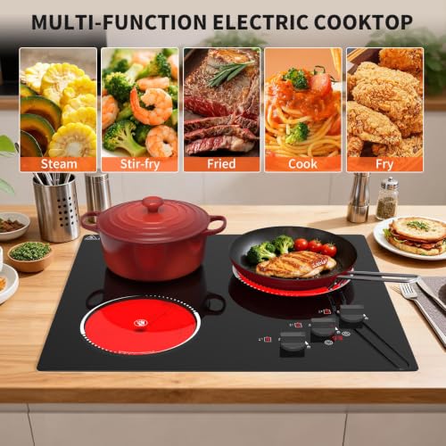 VBGK Electric Cooktop,24 inch 220V Electric StoveTop,Touch and Knob Control,LED,9 Power Levels, KidsLock & Timer Overheat Protection,500w3 burmercooktop. - size: 3 Burners Electric Cooktop