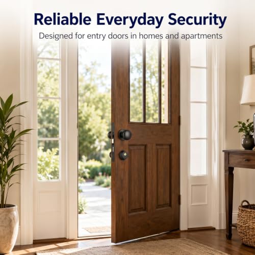Tandefio 1 Set Double Cylinder Mortise Lock, Left Hand Reverse, Black - color: Black, style: Left Hand Reverse