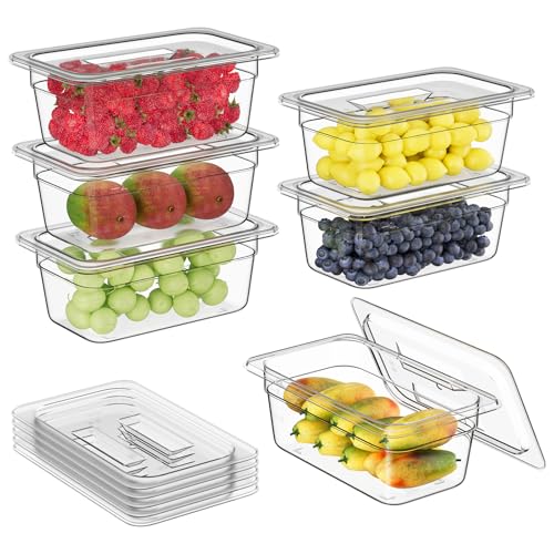 1/4 4'' 6 Pack Plastic Food Pans With Lids - color: 1/4 4"6 Pack