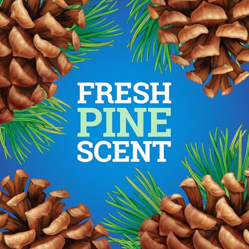 Pine-Sol CloroxPro Multi-Surface Cleaner, Original Pine, 80 fl. oz., 3 Pack - size: 80 Fl Oz (Pack of 3)