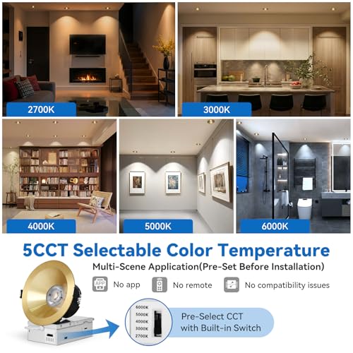 CycevSun Gold 4 Inch Anti-Glare Recessed Light COB 24°Spotlight, 6-Pack - color: Gold, size: 4 Inch