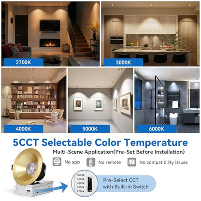 CycevSun Gold 4 Inch Anti-Glare Recessed Light COB 24°Spotlight, 6-Pack - color: Gold, size: 4 Inch