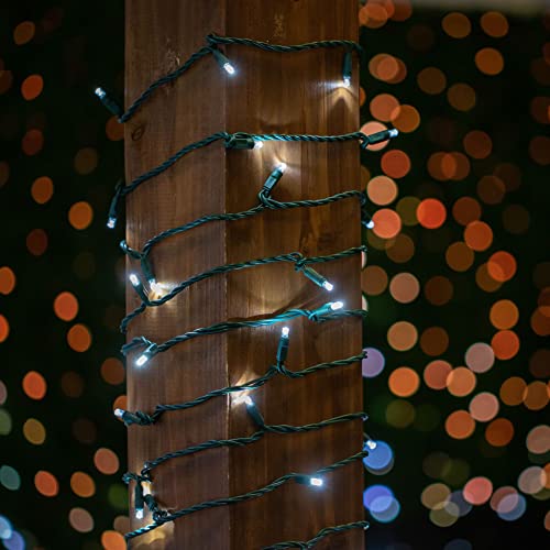 Novelty Lights 50ft 100 LED Pure White Christmas String Lights, Green Wire - color: Pure White