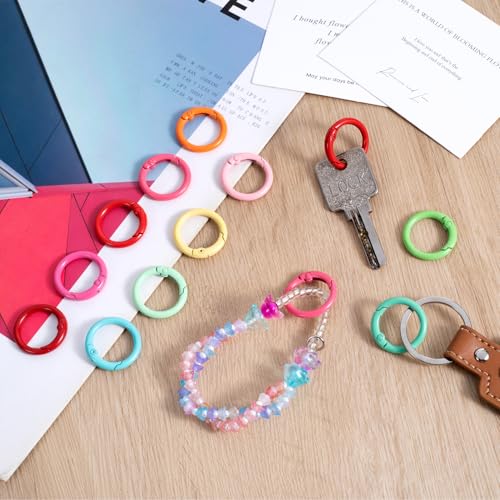 HINZIC Metal Spring O Rings, Round Colorful Keychain Snap Clip - color: mixed color,10pcs,25mm