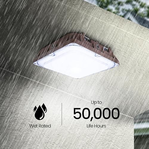 Feit Electric 10in LED Canopy Light, 5CCT Selectable, 4000 Lumens, 44W, Wet Rated Die-Cast Aluminum Housing, 50,000-Hour Lifetime, Bronze Outdoor Commercial Security Ceiling Fixture, S10CNPY/5CCT/BZ - color: 3000K-6500K White
