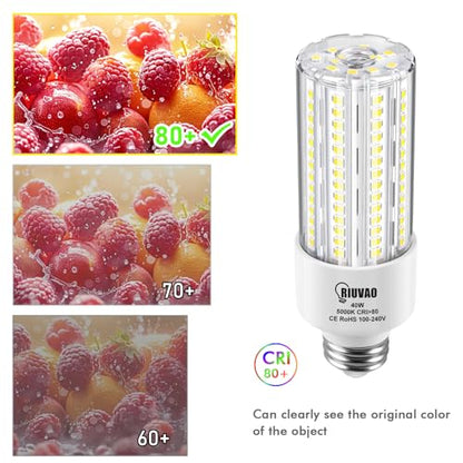 40W LED Corn Light Bulb Daylight LED Light Bulb 2pack Corn Light Bulb