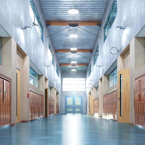Lithonia Lighting Compact Pro Round LED High Bay Light, Ceiling Lighting Fixture, Adjustable 12000/15000/18000 Lumens, Selectable 4000K/5000K, UVOLT 120–347V, White (CPRB ALO13 UVOLT SWW9 80CRI DWH) - size: 13-Inch | Switchable White Light, style: Adjusta