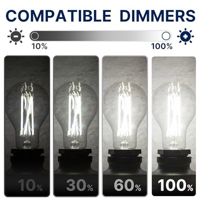 FLSNT 100W Eqv Dimmable A21 LED Bulbs, 1600LM, 5000K Daylight, E26, 4 Pack - color: 100w 5000k Daylight, size: 4 Count (Pack of 1)