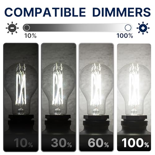 FLSNT 100W Eqv Dimmable A21 LED Bulbs, 1600LM, 5000K Daylight, E26, 8 Pack - color: 100w 5000k Daylight, size: 8 Count (Pack of 1)