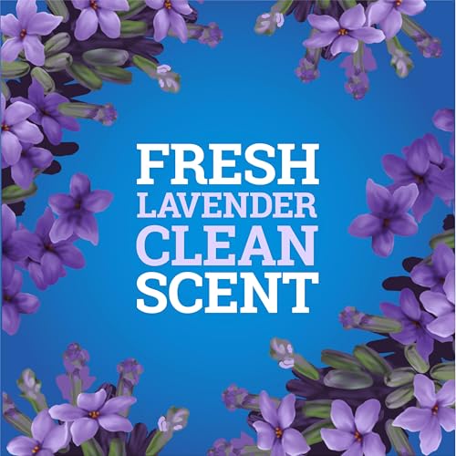 Pine-Sol Multi-Surface Cleaner, CloroxPro, 2x Concentrated Formula, All-Purpose Cleaner, Lavender Clean, 40 Fluid Ounces (Pack of 2) - size: 40 Fl Oz (Pack of 2)