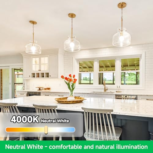 MAXvolador A19 LED Light Bulbs, 100 Watt Equivalent LED Bulb, 1100 Lumens Neutral White 4000K E26 Medium Base, Non-Dimmable 11W LED Bulb 12-Pack - color: Neutral White