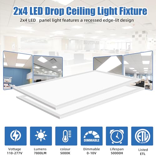WYZM 10 Pack 2X4 LED Flat Panel Light,7800lm, 5000K Daylight White - size: 10pack