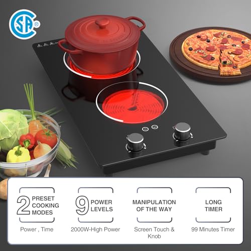 GIHETKUT Electric Cooktop,110V 2100W Electric Stove Top with Knob Control, 10 Power Levels, Kids Lock & Timer, Hot Surface Indicator, Overheat Protection,Built-in Radiant Double induction cooktop - size: 2 burner electric stove