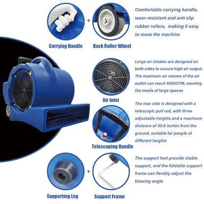 110V Air Mover, 3 Speed Floor Dryer, 900W Blue Cold Floor Blower Wet Carpet Dryer for Janitorial Home Commercial Use