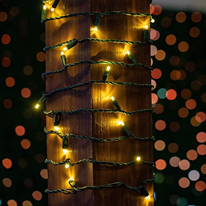 Novelty Lights 50ft 100 LED Warm White Christmas Lights, Green Wire - color: Warm White