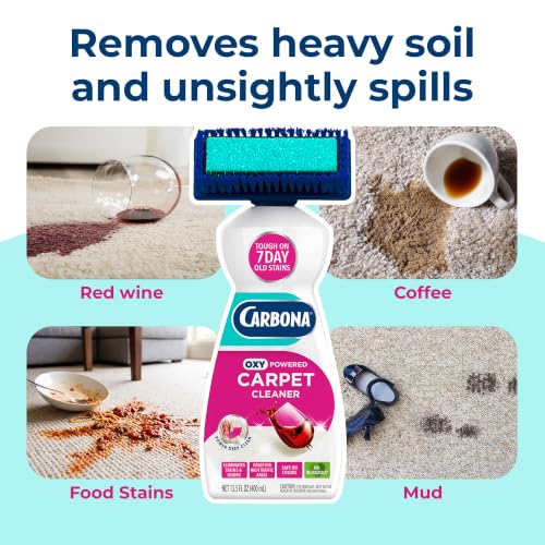 Carbona 2-in-1 Oxy-Powered Carpet Cleaner (13.5 Fl Oz), Spot Cleaner with Dual Sponge & Bristle Applicator for Targeted Cleaning, Fast Formula - size: 13.5 Fl Oz