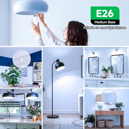 MAXvolador 12-Pack A19 LED Light Bulbs, 100 Watt Equivalent LED Bulb, 6500K Cool Daylight White, 1100 Lumens, E26 Medium Base, CRI 85+, Non-Dimmable - color: Cool Daylight White