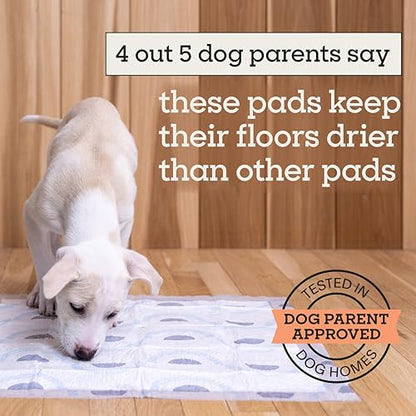 Pet Life Unlimited Smart Prints Large Puppy Pads for Dogs, Potty Training Pee Pads, 42 Count, 22" x 22", Leak-Proof, Super Absorbent, Quick-Dry, Patterned Pads with Odor Control, Made in USA - size: L 22" x 22" 42-Count