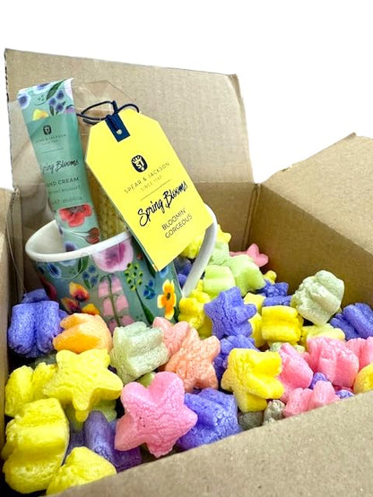 FunPak Plant Based Biodegradable Packing Peanuts 1.5 cu ft Bag Compostable (Rainbow Stars) - color: Rainbow Stars