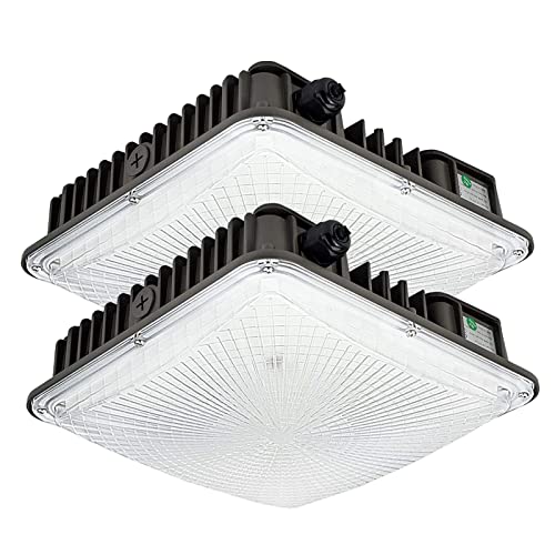 2 Pack LED Canopy Light Fixture,8400lm,70W,5500K Daylight White - size: 70W -Canopy-2pack