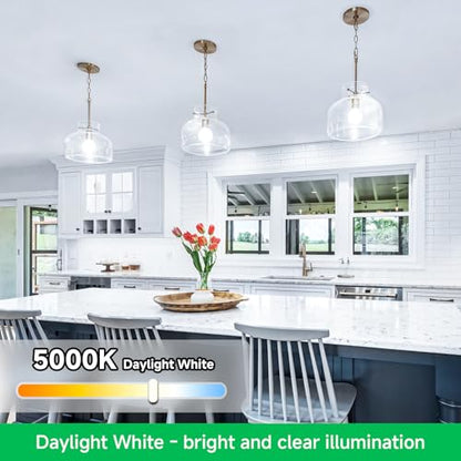 MAXvolador 12-Pack A19 LED Light Bulbs, 100 Watt Equivalent LED Bulb, 5000K Daylight White, 1100 Lumens, E26 Medium Base, CRI 85+, Non-Dimmable - color: Daylight White