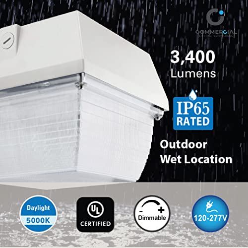 CLT 40W Waterproof IP65 LED Outdoor Canopy Garage Light 5000K