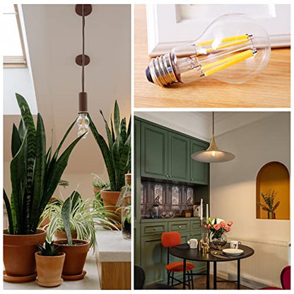 Energetic Dimmable A19 LED Edison Light Bulb, 12W Equivalent 100W, 1600LM High Brightness, 2700K Soft White, Clear Antique LED Filament Bulb for Home, Bathroom, E26 Standard Base, 6-Pack - size: 6 Count ( Pack of 1)