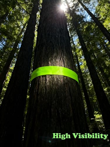 Green Flagging Tape - Non-Adhesive Hi-Vis Plastic | 5 Rolls (1" x 500') | Fade-Resistant for Surveyor, Tree Marking, Hunting Trail, Boundaries & Hazardous Areas Workplace - color: Green