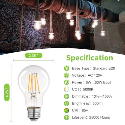 A19 Clear Led Bulbs, E26 Dimmable Edison Bulbs, 5000K Daylight Led Light Bulb, Cool White Edison Bulb, 6w Filament Bulb for Light Fixture 6pack/12Pack - color: Clear 5000k Daylight, size: 6W-6 Pack