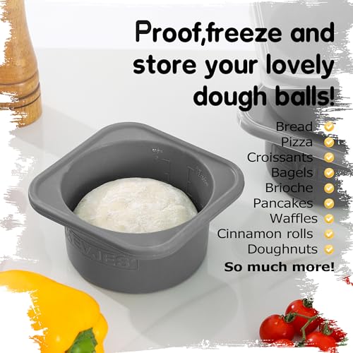 PLUS 1000ml Pizza Dough Proofing Containers, 2-Pack, Space Grey - color: Space Grey