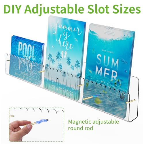 Brochure Holder Wall Mount, 2 Pack Acrylic Modular Flyer with Adjustable Magnetic Golden Bolt, Wavy Lace Pamphlet Display Stand for Organizer Trifold Flyer, Document, Leaflet, 6 Slots - color: 6 Slots