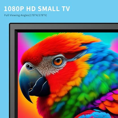 12.5inch small Portable TV,Essential for Bedroom/Kitchen/Camping,Support HDMI/USB input,Built-in speakers,lightweight and easy to carry,Suitable for small spaces(NO with WiFi/Bluetooth/Satellite)