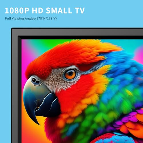 12.5inch small Portable TV,Essential for Bedroom/Kitchen/Camping,Support HDMI/USB input,Built-in speakers,lightweight and easy to carry,Suitable for small spaces(NO with WiFi/Bluetooth/Satellite)