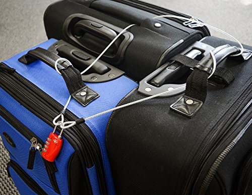Lumintrail 3mm (1/8 Inch) Braided Steel Coated Security Cable Luggage Lock Safety Cable Wire Double Loop (30ft) - size: 30-FT (1 Pack)