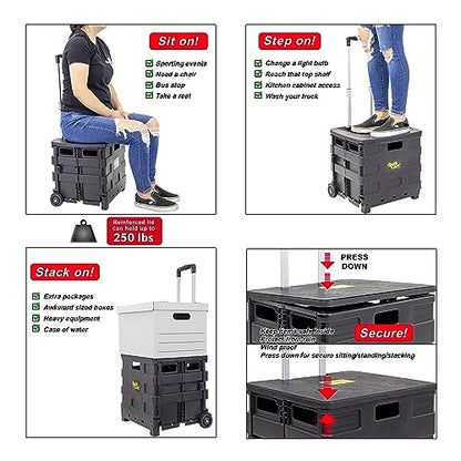 dbest Products Quik Cart Sport Collapsible Rolling Crate on Wheels - Black - color: Black, style: Sport